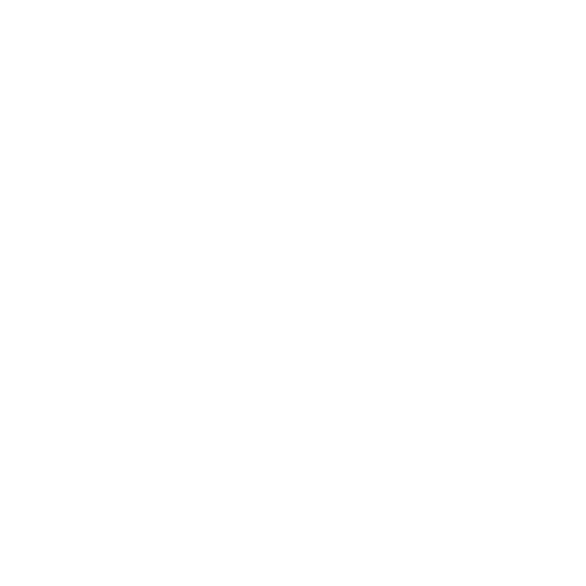 Roti
